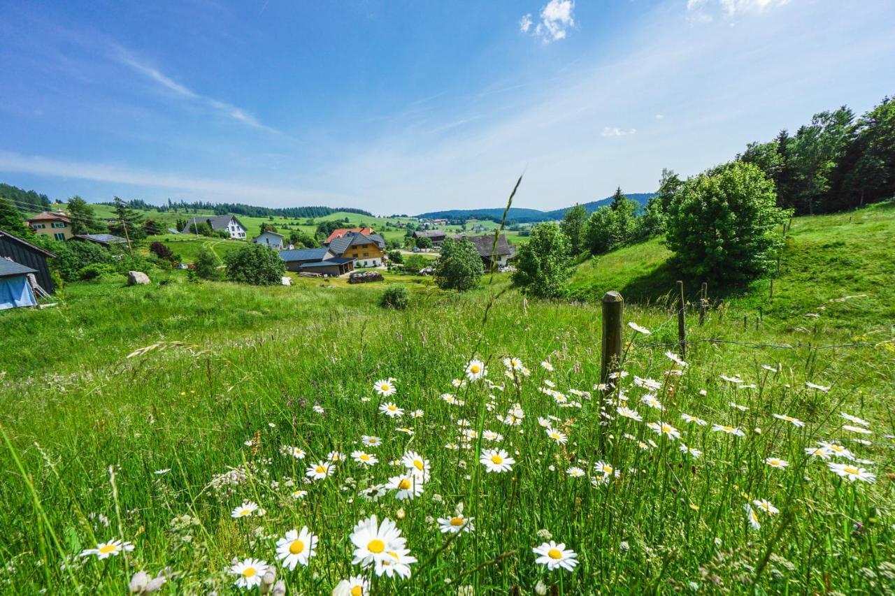 Hubertus Lodge Ibach Luaran gambar