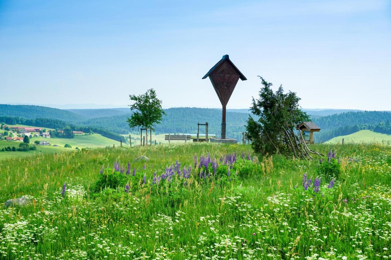 Hubertus Lodge Ibach Luaran gambar